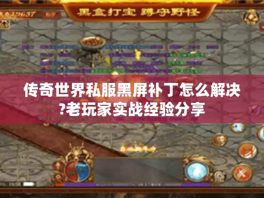 传奇世界私服黑屏补丁怎么解决?老玩家实战经验分享