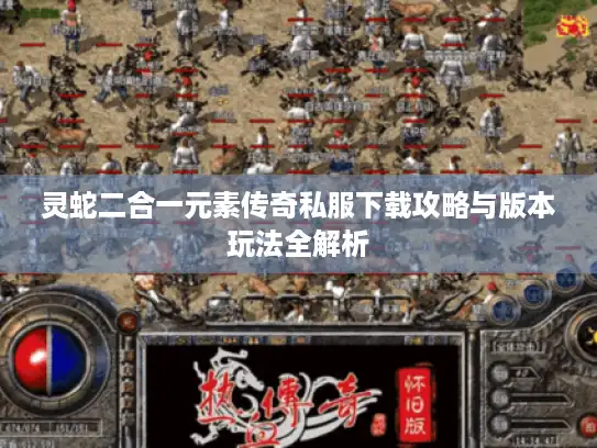 灵蛇二合一元素传奇私服下载攻略与版本玩法全解析