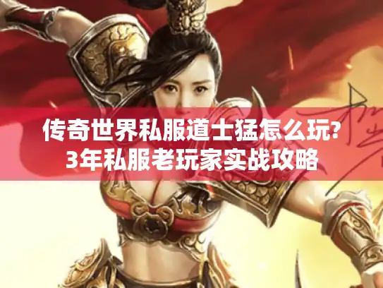 传奇世界私服道士猛怎么玩?3年私服老玩家实战攻略