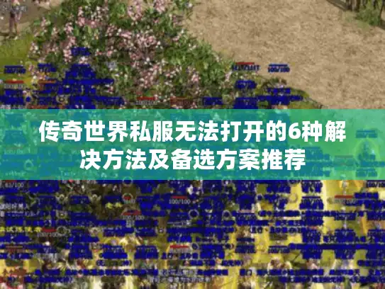 传奇世界私服无法打开的6种解决方法及备选方案推荐
