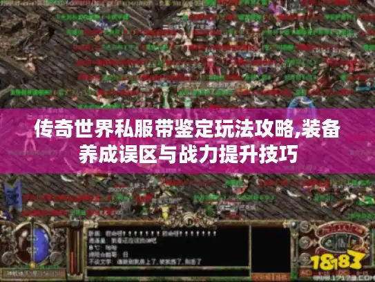 传奇世界私服带鉴定玩法攻略,装备养成误区与战力提升技巧 传奇世界私服带鉴定玩法攻略,装备养成误区与战力提升技巧