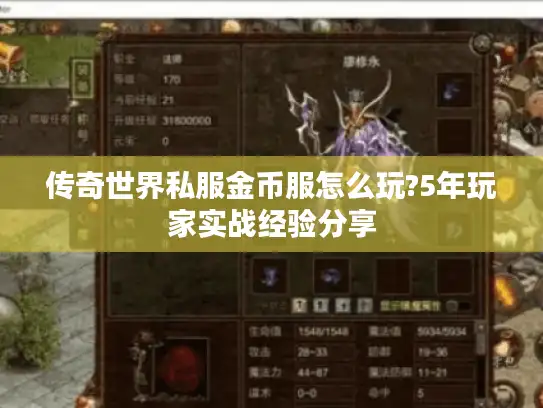 传奇世界私服金币服怎么玩?5年玩家实战经验分享 传奇世界私服金币服怎么玩?5年玩家实战经验分享