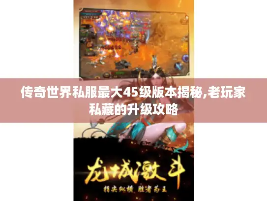 传奇世界私服最大45级版本揭秘,老玩家私藏的升级攻略