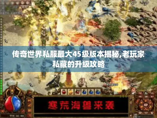 传奇世界私服最大45级版本揭秘,老玩家私藏的升级攻略