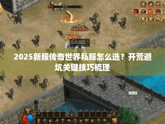 2025新服传奇世界私服怎么选?开荒避坑关键技巧梳理 2025新服传奇世界私服怎么选?开荒避坑关键技巧梳理