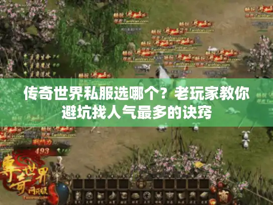 传奇世界私服选哪个？老玩家教你避坑找人气最多的诀窍