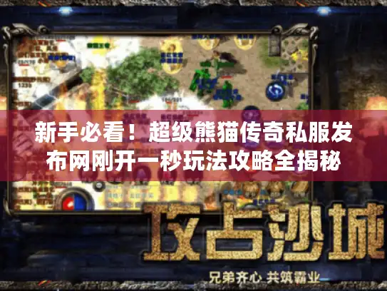 新手必看！超级熊猫传奇私服发布网刚开一秒玩法攻略全揭秘