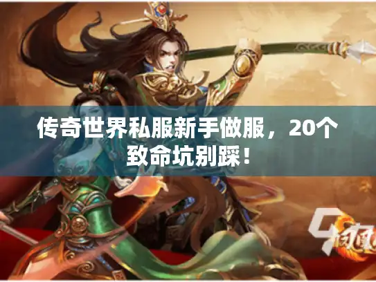 传奇世界私服新手做服,20个致命坑别踩! 传奇世界私服新手做服,20个致命坑别踩!