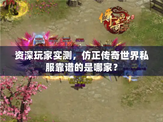 资深玩家实测，仿正传奇世界私服靠谱的是哪家？