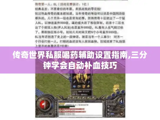 传奇世界私服喝药辅助设置指南,三分钟学会自动补血技巧