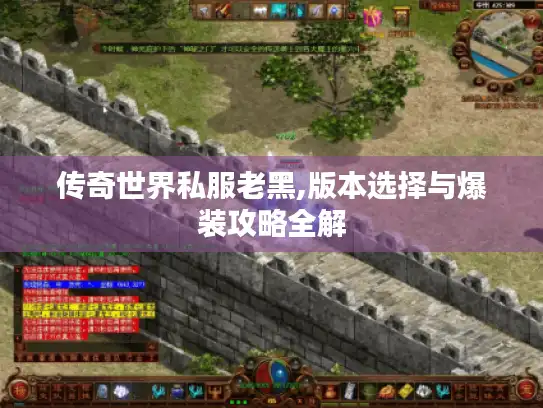 传奇世界私服老黑,版本选择与爆装攻略全解