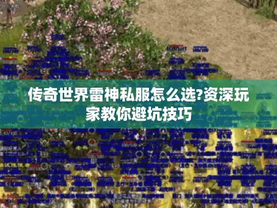 传奇世界雷神私服怎么选?资深玩家教你避坑技巧 传奇世界雷神私服怎么选?资深玩家教你避坑技巧