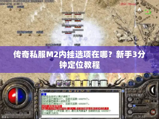 传奇私服M2内挂选项在哪？新手3分钟定位教程