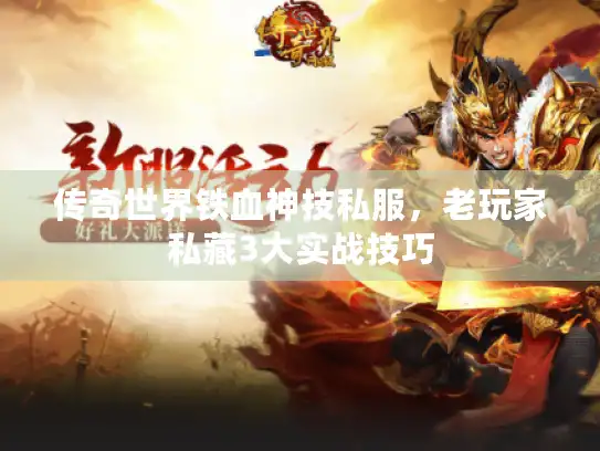 传奇世界铁血神技私服，老玩家私藏3大实战技巧