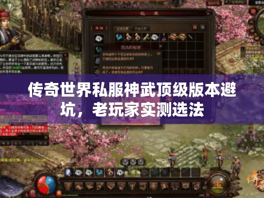 传奇世界私服神武顶级版本避坑，老玩家实测选法