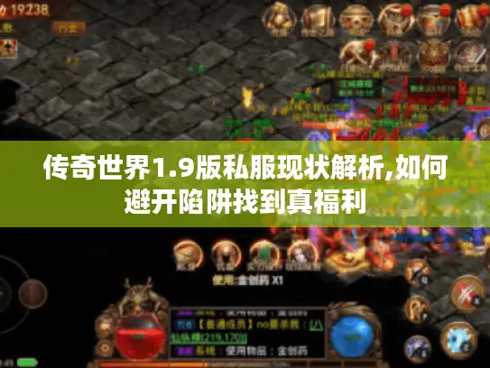 传奇世界1.9版私服现状解析,如何避开陷阱找到真福利