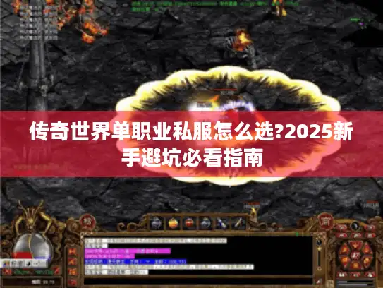 传奇世界单职业私服怎么选?2025新手避坑必看指南
