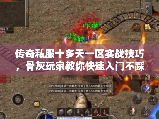 传奇私服十多天一区实战技巧，骨灰玩家教你快速入门不踩坑