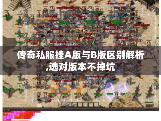 传奇私服挂A版与B版区别解析,选对版本不掉坑