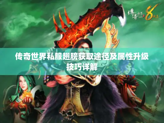 传奇世界私服翅膀获取途径及属性升级技巧详解 传奇世界私服翅膀获取途径及属性升级技巧详解