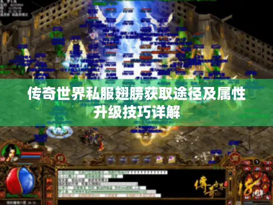 传奇世界私服翅膀获取途径及属性升级技巧详解 传奇世界私服翅膀获取途径及属性升级技巧详解