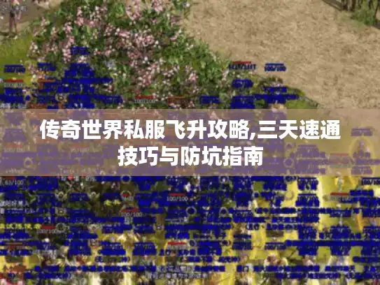 传奇世界私服飞升攻略,三天速通技巧与防坑指南