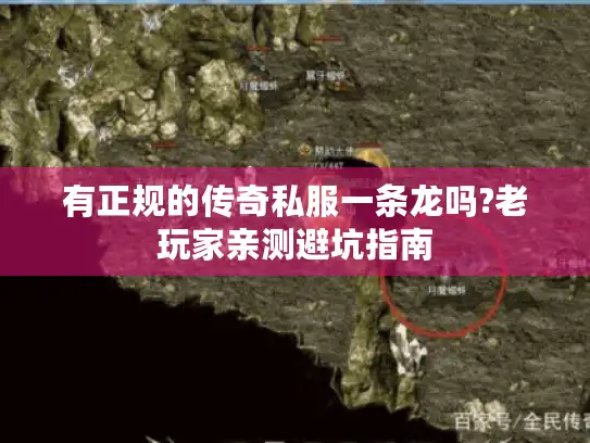 有正规的传奇私服一条龙吗?老玩家亲测避坑指南