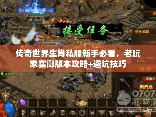 传奇世界生肖私服新手必看，老玩家实测版本攻略+避坑技巧