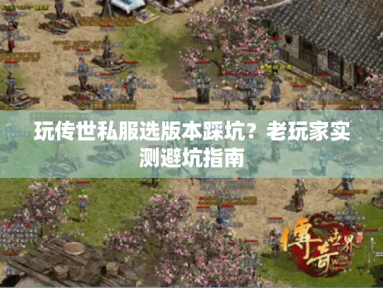 玩传世私服选版本踩坑？老玩家实测避坑指南