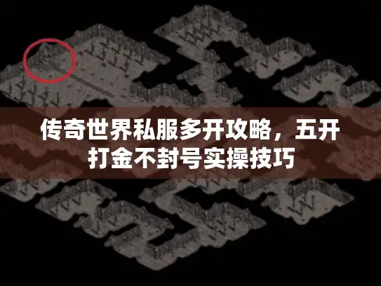传奇世界私服多开攻略，五开打金不封号实操技巧