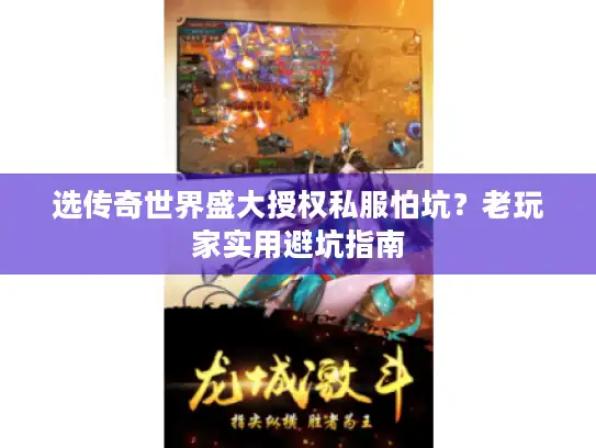 选传奇世界盛大授权私服怕坑？老玩家实用避坑指南