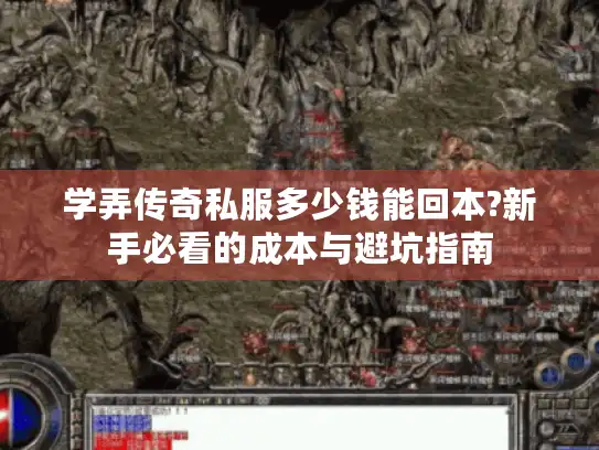 学弄传奇私服多少钱能回本?新手必看的成本与避坑指南