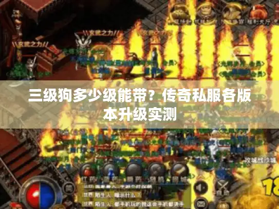 三级狗多少级能带？传奇私服各版本升级实测