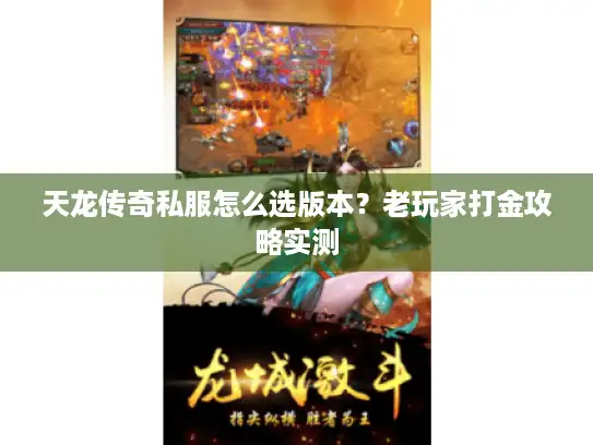 天龙传奇私服怎么选版本？老玩家打金攻略实测