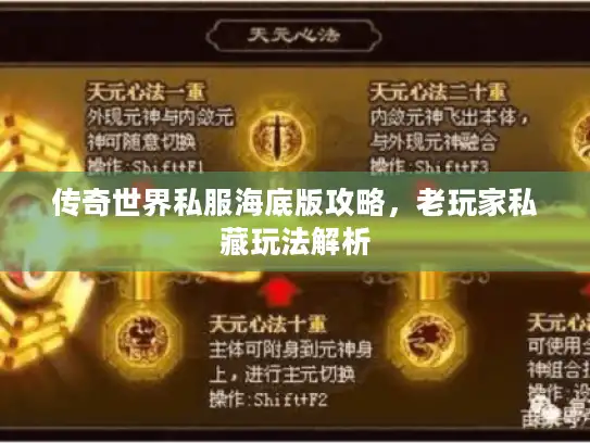 传奇世界私服海底版攻略，老玩家私藏玩法解析