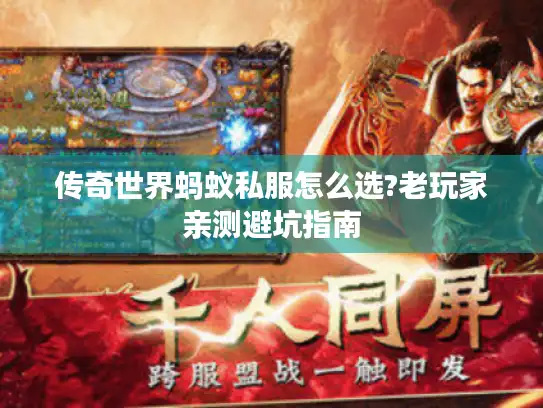 传奇世界蚂蚁私服怎么选?老玩家亲测避坑指南