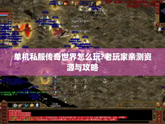 单机私服传奇世界怎么玩?老玩家亲测资源与攻略