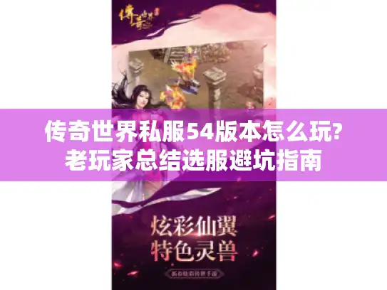 传奇世界私服54版本怎么玩?老玩家总结选服避坑指南