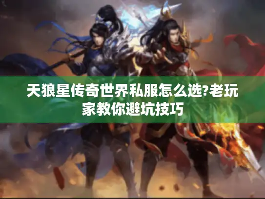 天狼星传奇世界私服怎么选?老玩家教你避坑技巧