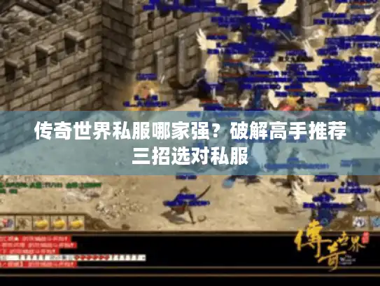 传奇世界私服哪家强？破解高手推荐三招选对私服