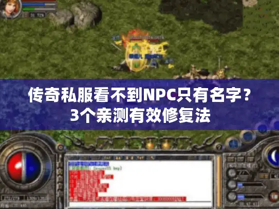 传奇私服看不到NPC只有名字？3个亲测有效修复法