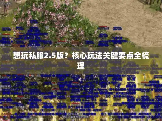想玩私服2.5版？核心玩法关键要点全梳理