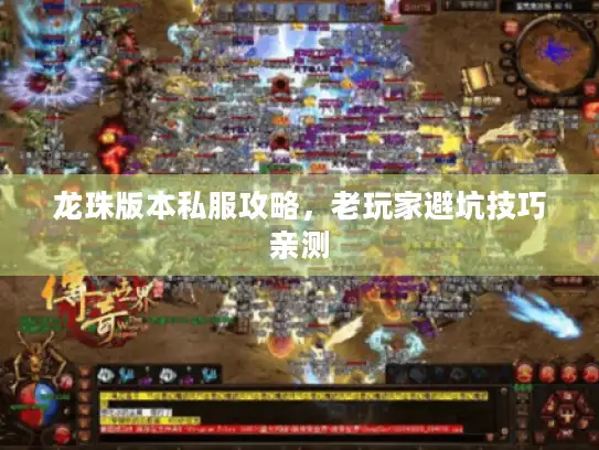 龙珠版本私服攻略,老玩家避坑技巧亲测 龙珠版本私服攻略,老玩家避坑技巧亲测