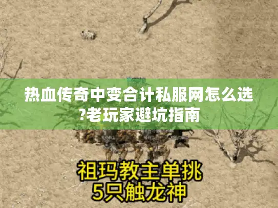 热血传奇中变合计私服网怎么选?老玩家避坑指南