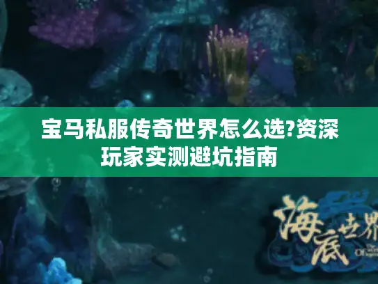 宝马私服传奇世界怎么选?资深玩家实测避坑指南