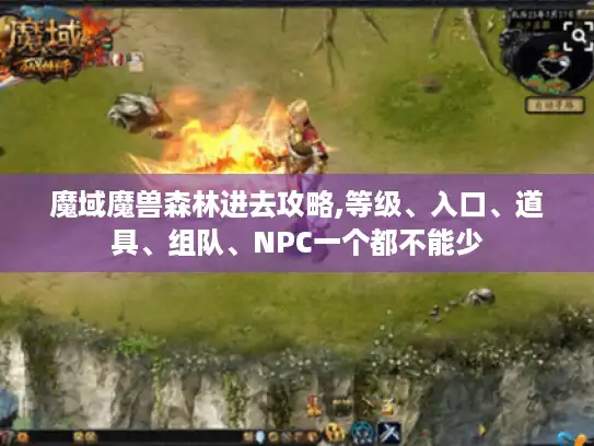 魔域魔兽森林进去攻略,等级、入口、道具、组队、NPC一个都不能少 魔域魔兽森林进去攻略,等级、入口、道具、组队、NPC一个都不能少