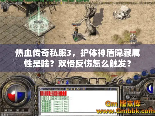 热血传奇私服3，护体神盾隐藏属性是啥？双倍反伤怎么触发？
