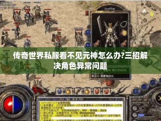 传奇世界私服看不见元神怎么办?三招解决角色异常问题