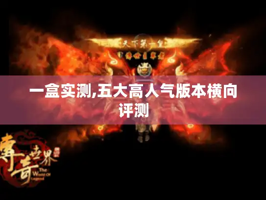 一盒实测,五大高人气版本横向评测