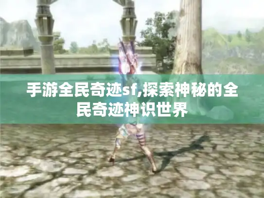 手游全民奇迹sf,探索神秘的全民奇迹神识世界